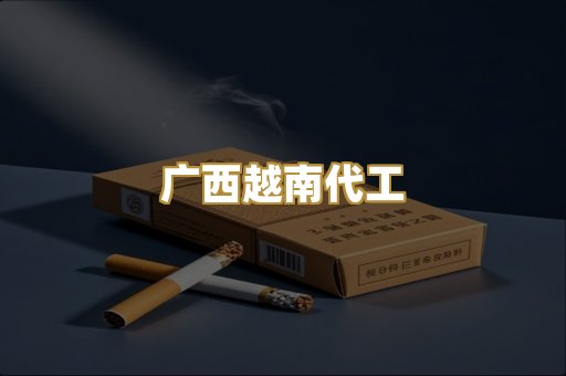 广西越南代工